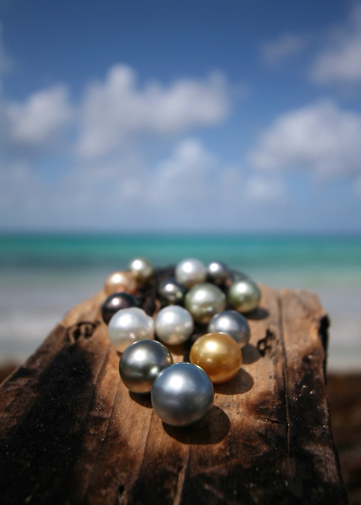 Multicolor pearl cascade necklace on driftwood, Caribbean turquoise sea