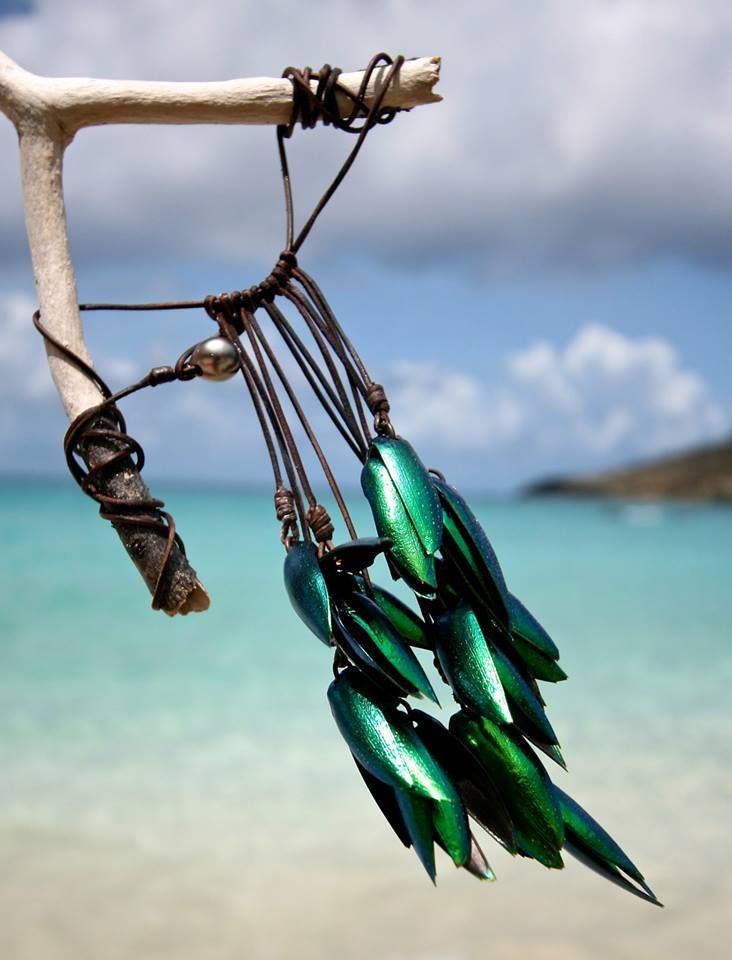 Iridescent jewel beetle wing tassel earrings hanging from driftwood branch, one of a kind jewelry St Barth